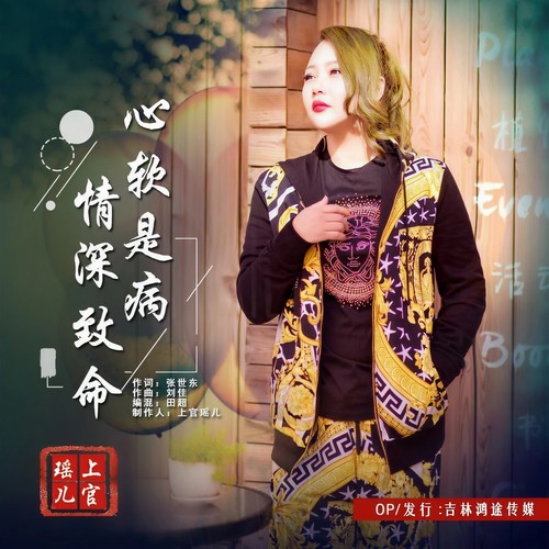 心软是病情深致命 (《沉睡的爱人》网络剧插曲)