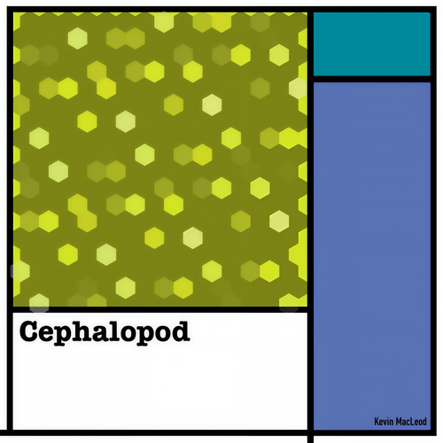 Cephalopod