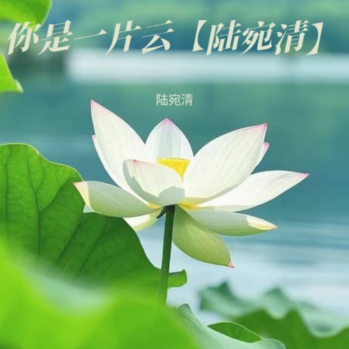 你是一片云【陆宛清】