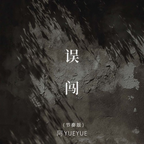 误闯(节奏版)