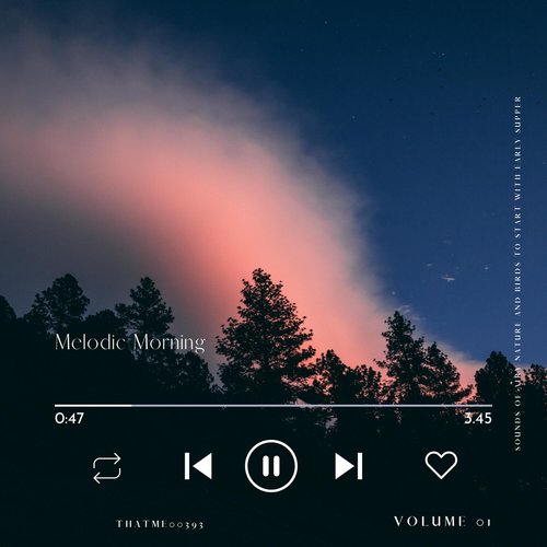 Melodic Morning - Sounds of Airy Nature and Birds to Start with Early Supper, Vol. 01