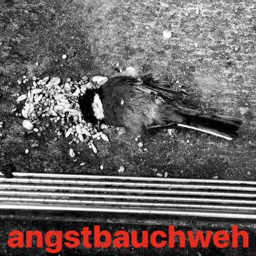 Angstbauchweh (feat. alllone)