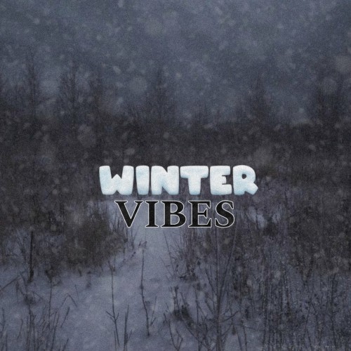 Winter VIBES (Explicit)