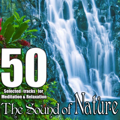 The Sound of Nature (50 Selected Tracks for Relax and Meditation)