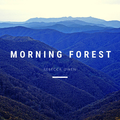 Morning Forest