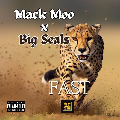 Fast (Explicit)