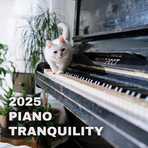 2025 Piano Tranquility