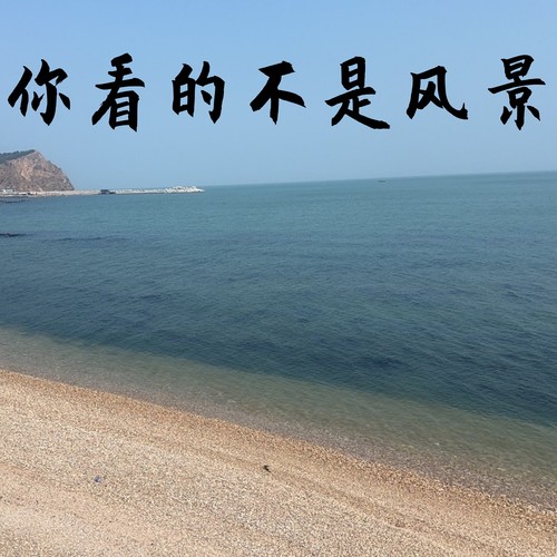 你看的不是风景 (合唱版)