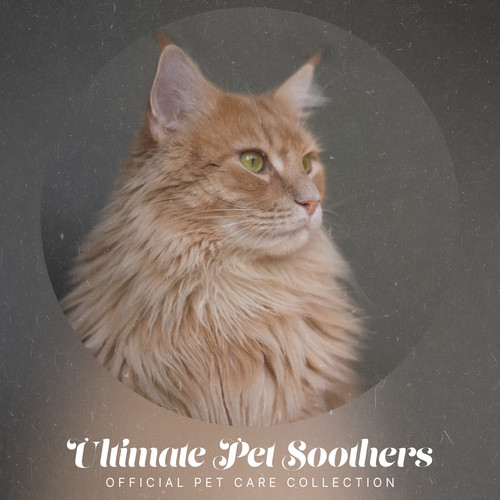 Ultimate Pet Soothers