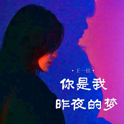 你是我昨夜的梦