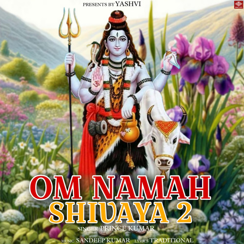 Om Namah Shivaya 2