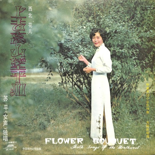 上去高山望平川——西北“花儿”