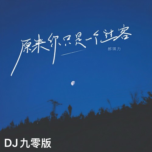 原来你只是一个过客(DJ九零版)