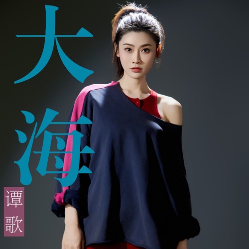 大海（dj版）