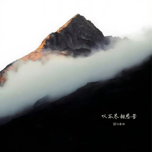 叹不尽相思苦