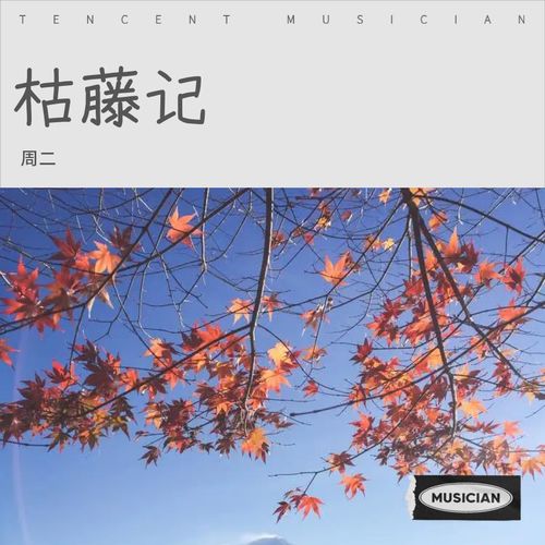 枯藤记