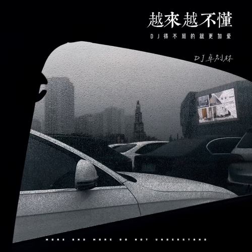 越来越不懂 (DJ 得不到的就更加爱)