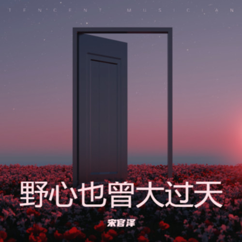 野心也曾大过天