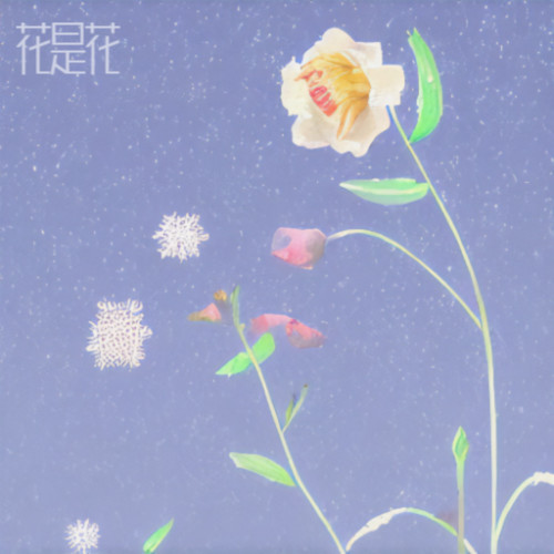 花是花