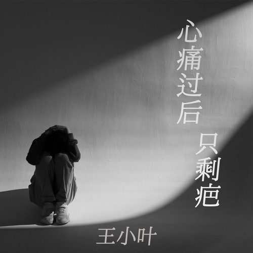 心痛过后只剩疤 (低吟版)