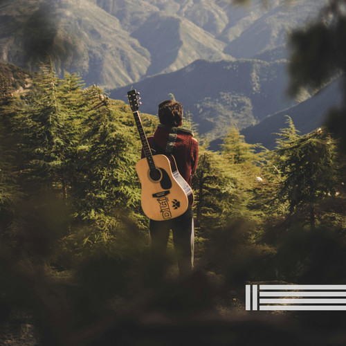 Relaxing Guitar & Forest Sounds