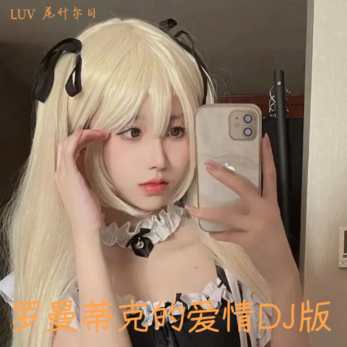 罗曼蒂克的爱情DJ版