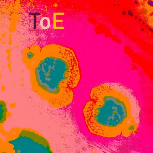 ToE