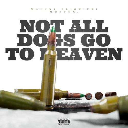 NOT ALL DOGS GO TO HEAVEN (feat. mortox.) [Explicit]