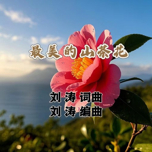最美的山茶花