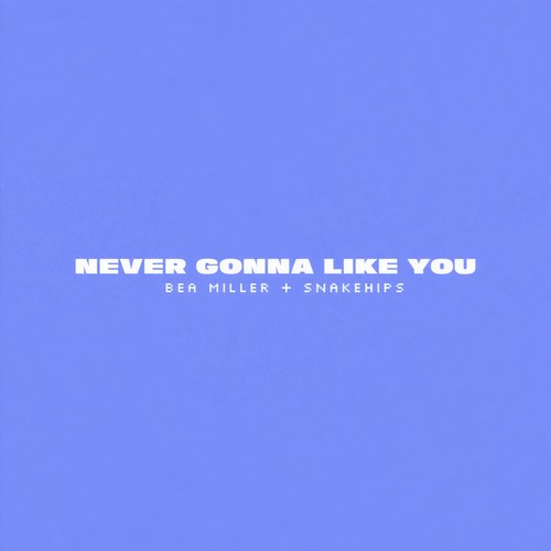 NEVER GONNA LIKE YOU (Clean Version)