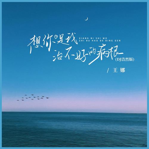 想你是我治不好的病根 (DJ浩然版)