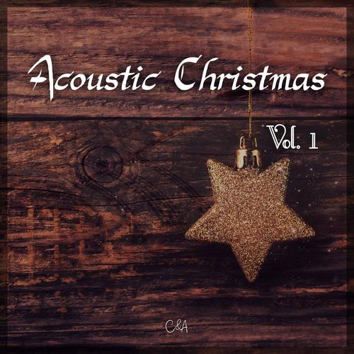 Acoustic Christmas -, Vol. 1