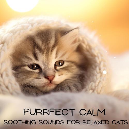 Purrfect Calm: Soothing Sounds for Relaxed Cats, Peaceful Nap Time & Stress-Free Felines