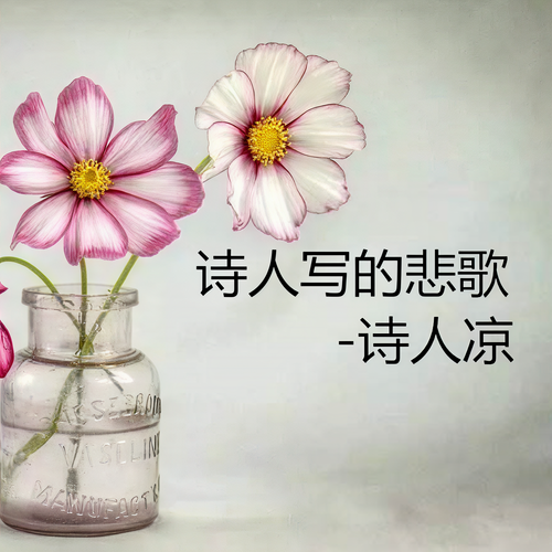 诗人写的悲歌