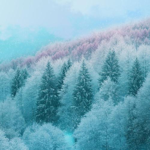 Frosted Forest: Winter Woods Ambience and Snowfall Sounds for Mindful Relaxation