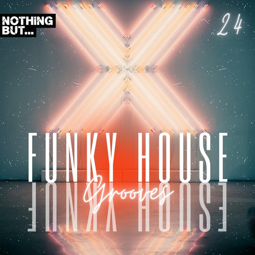 House Grooves, Vol. 24