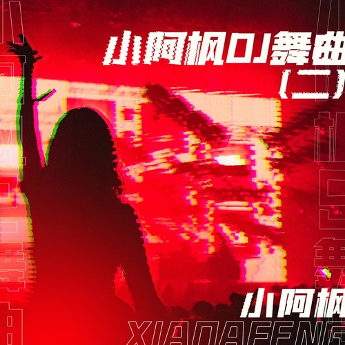 小阿枫DJ舞曲(二)