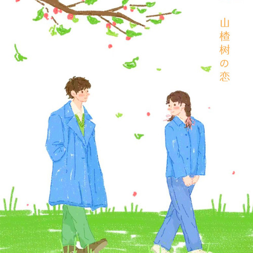山楂树の恋(山楂树之恋)