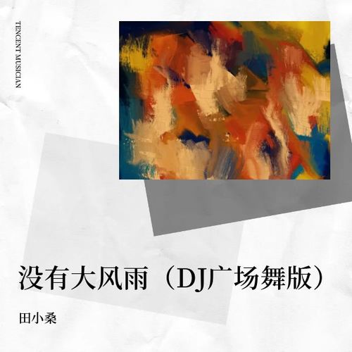 没有大风雨（DJ广场舞版）