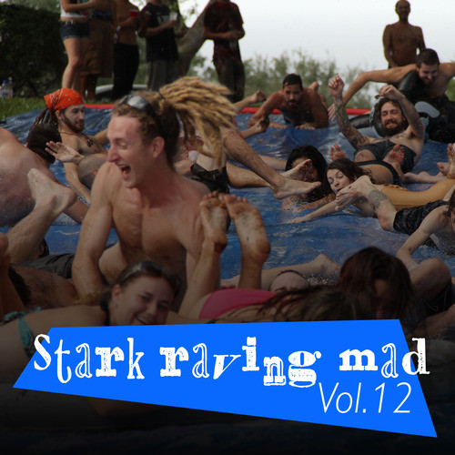 Stark Raving Mad, Vol. 12