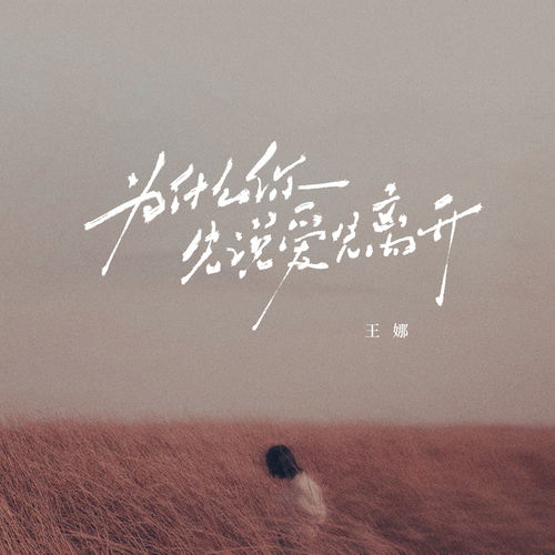 为什么你先说爱先离开