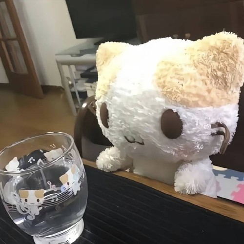 XIAO2