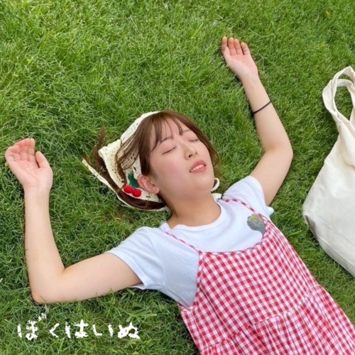 ぼくはいぬ