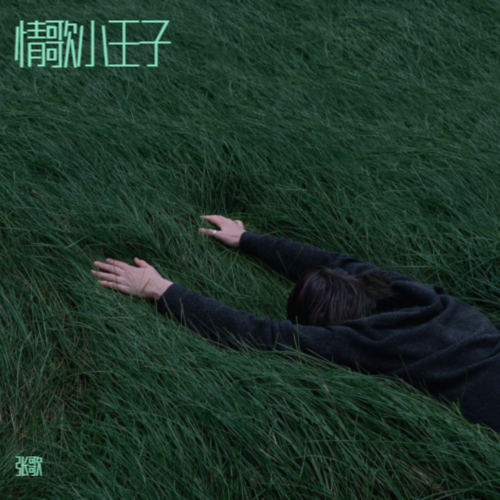 情歌小王子