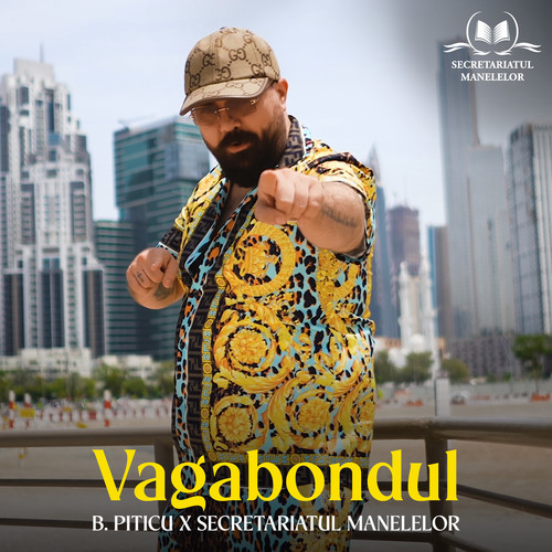 Vagabondul