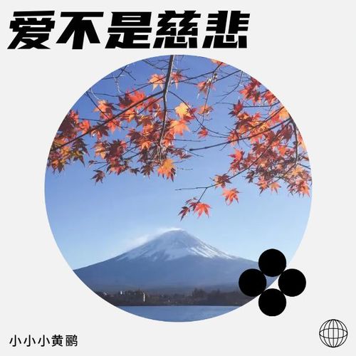 爱不是慈悲