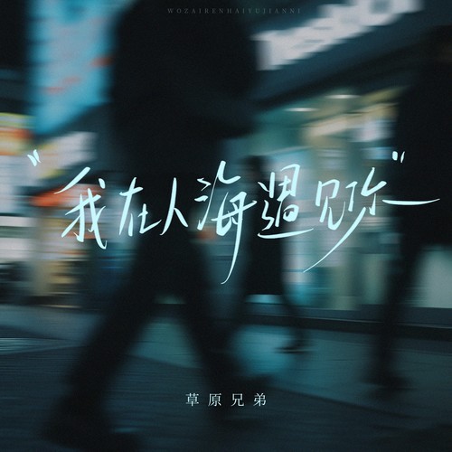 我在人海遇见你（语录版）