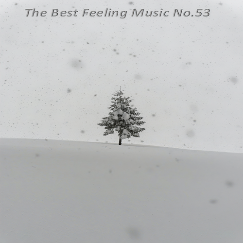 The Best Feeling Music No.53