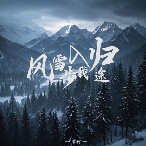 风雪步入我归途