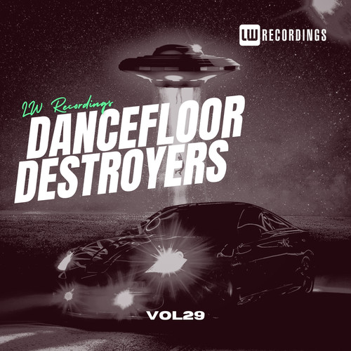 Dancefloor Destroyers, Vol. 29 (Explicit)